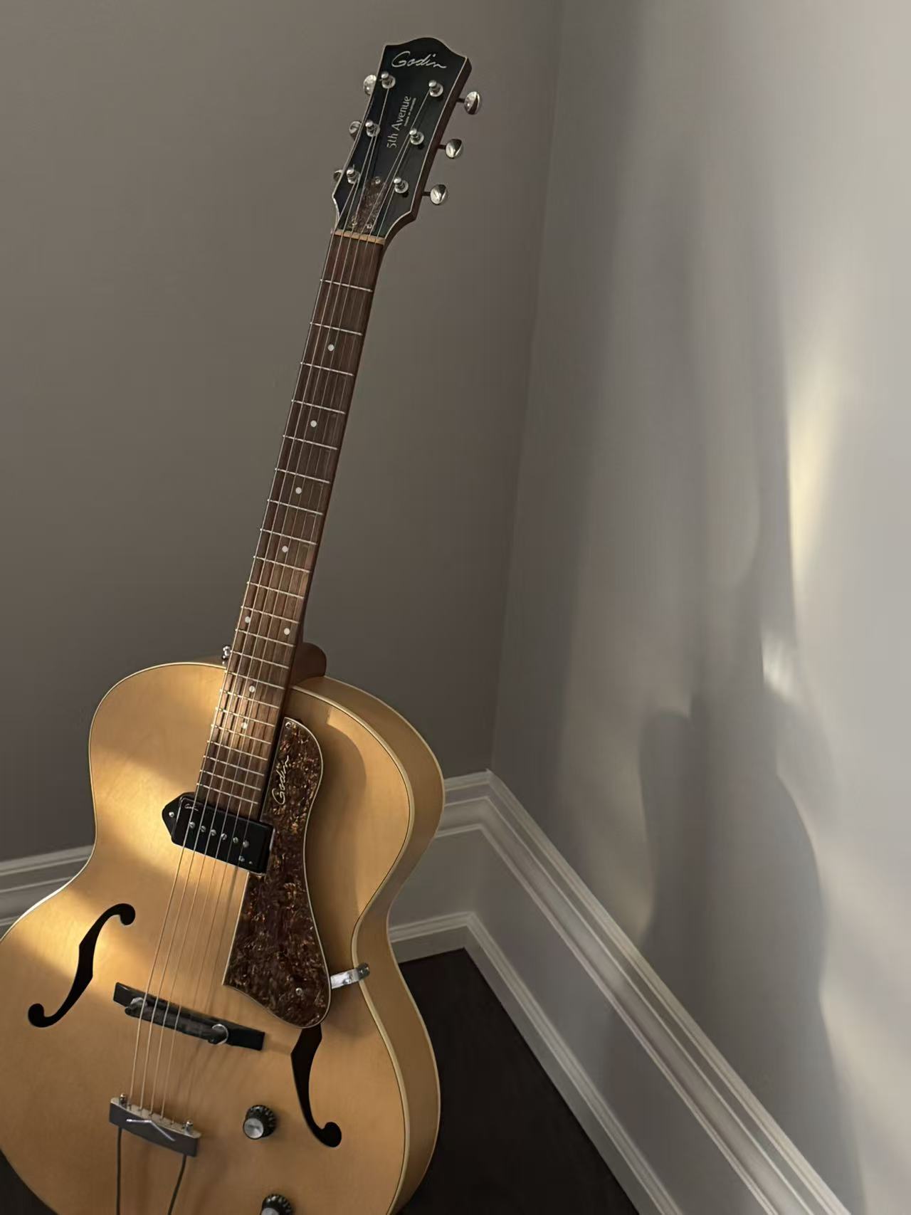 Godin guitar